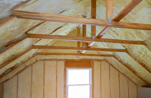Best Insulation Maintenance and Repair in Caldwell, TX
