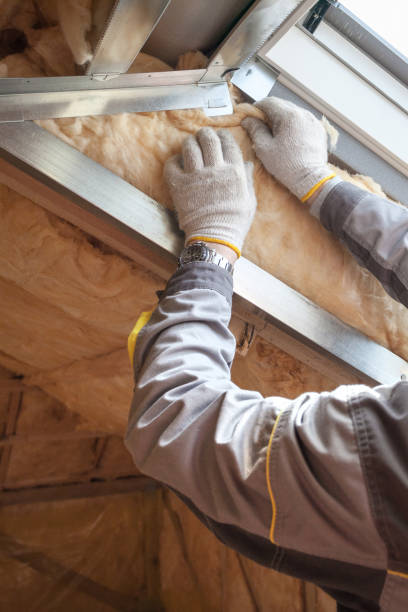 Best Commercial Insulation in Caldwell, TX